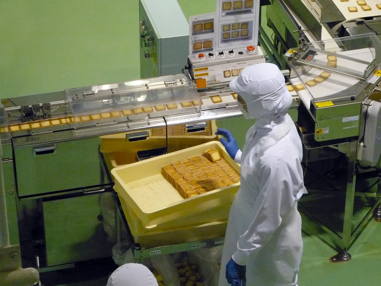 Opérateur en combinaison blanche devant une ligne agroalimentaire automatisée